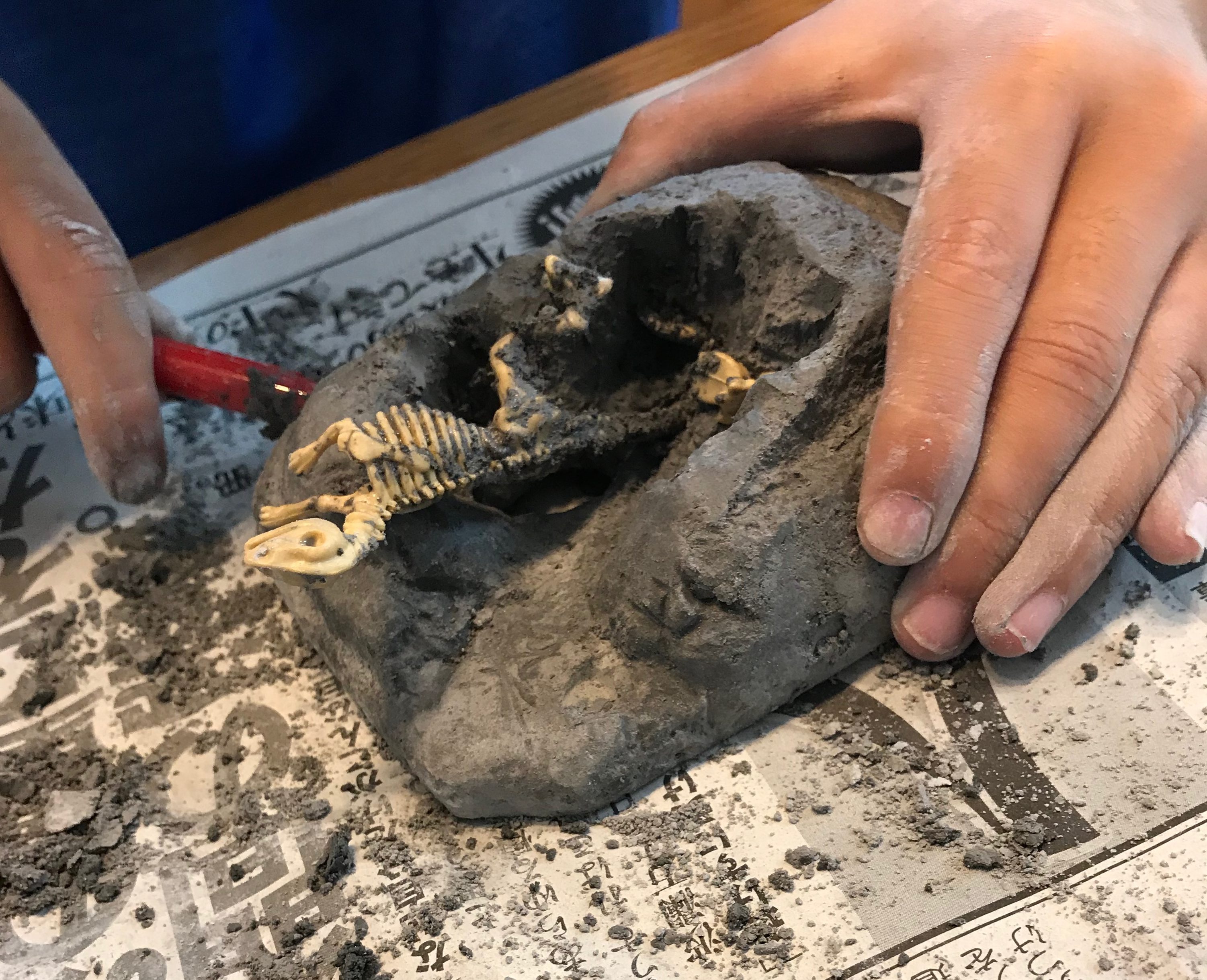 化石発掘が自宅で体験できる！ダイソーの「恐竜化石玩具」を親子で遊んだレビュー